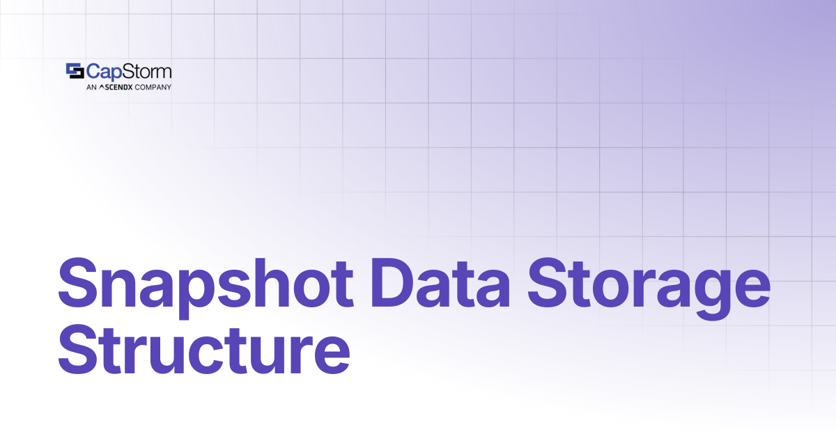Snapshot Data Storage Structure | Capstorm Learn